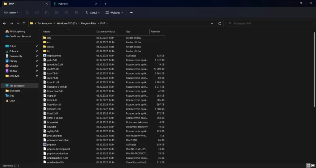 Screenshot z exploratora plików